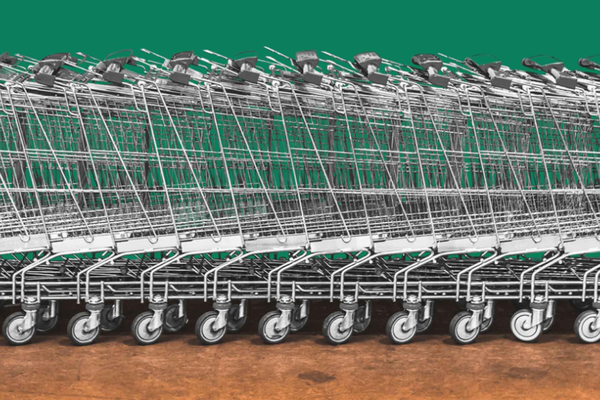 Gatekeeper shopping carts